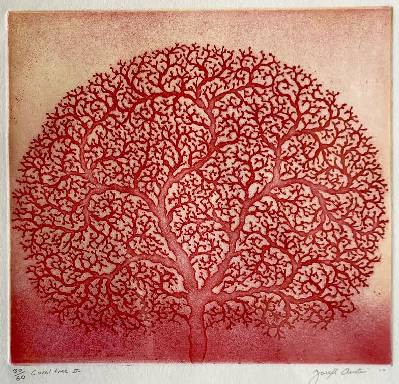 Coral Tree