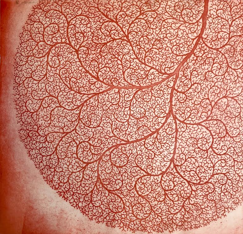 Lace Coral