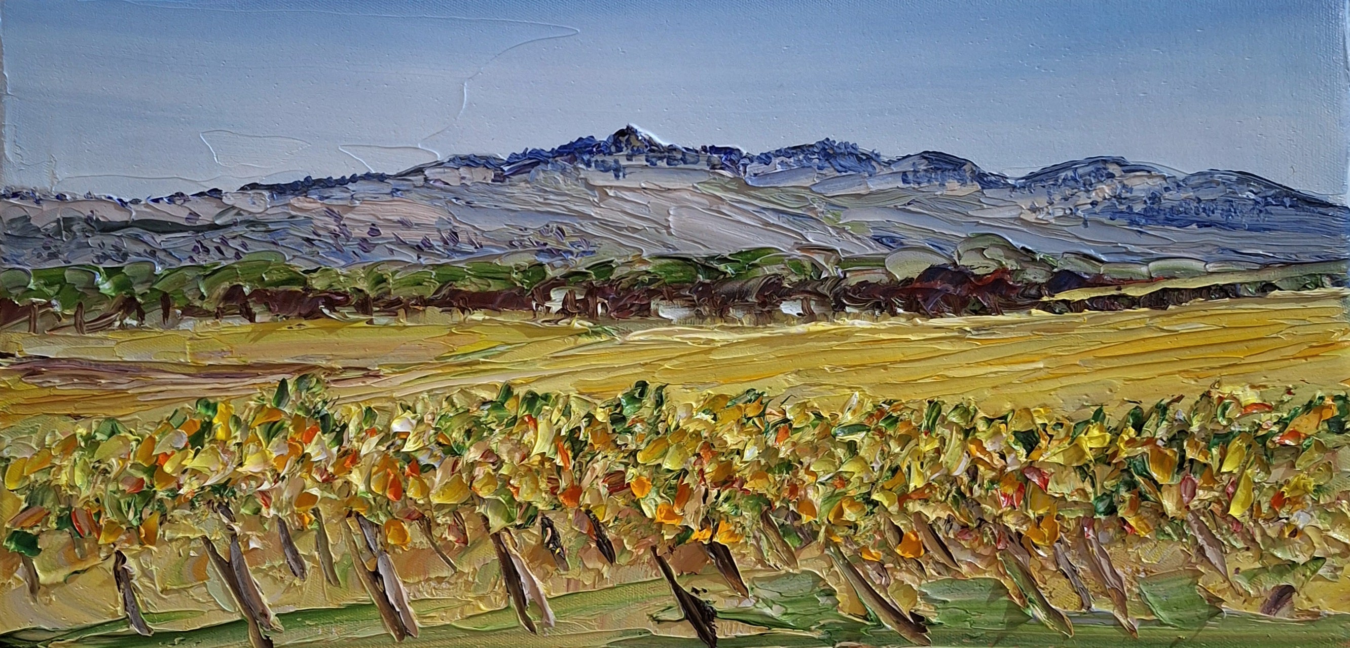 Barossa Autumn