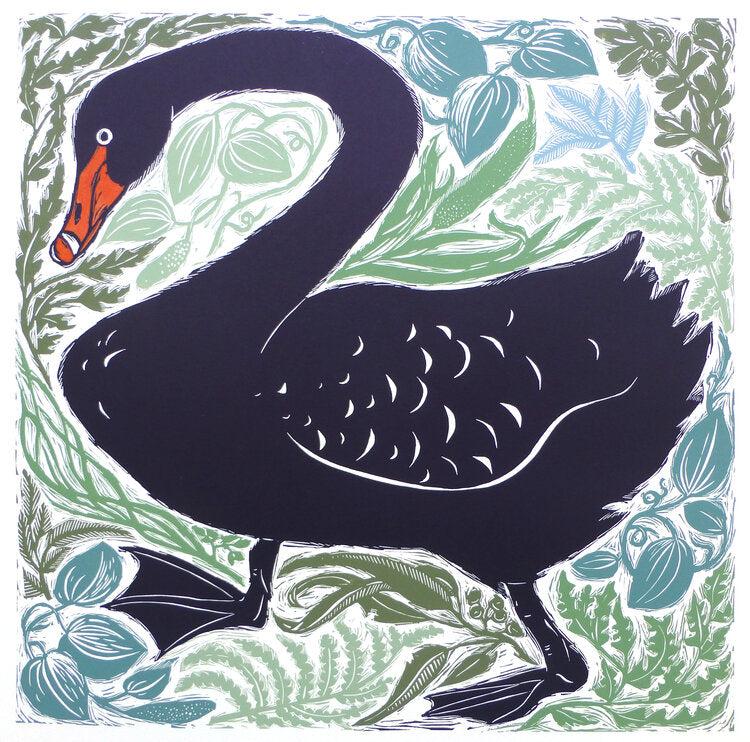 Black Swan Amongst Foliage