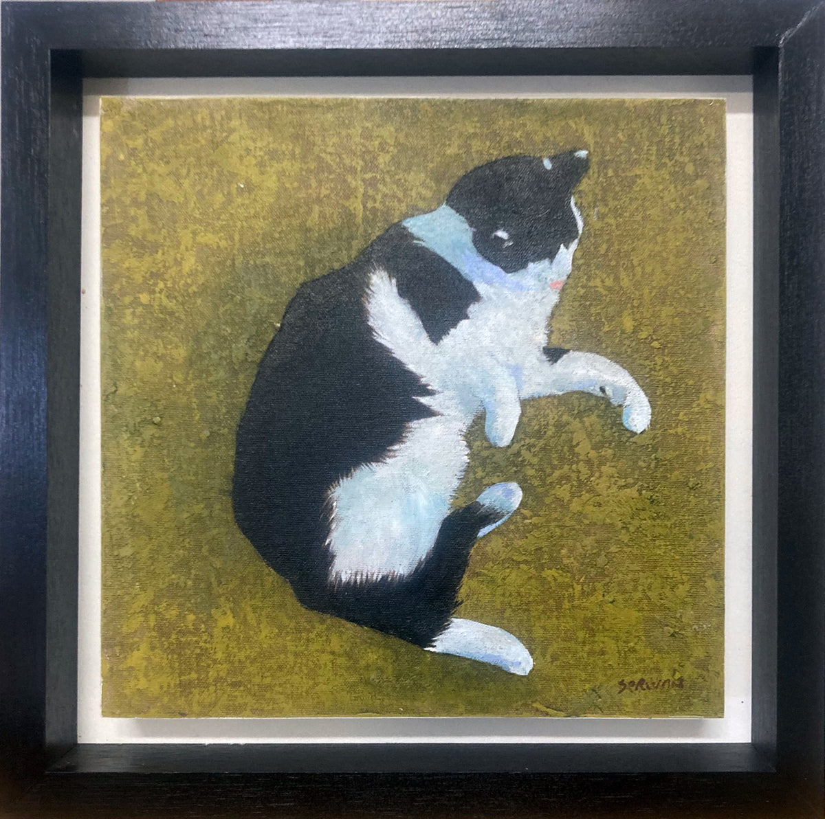 ‘Cat 1’ (2026)