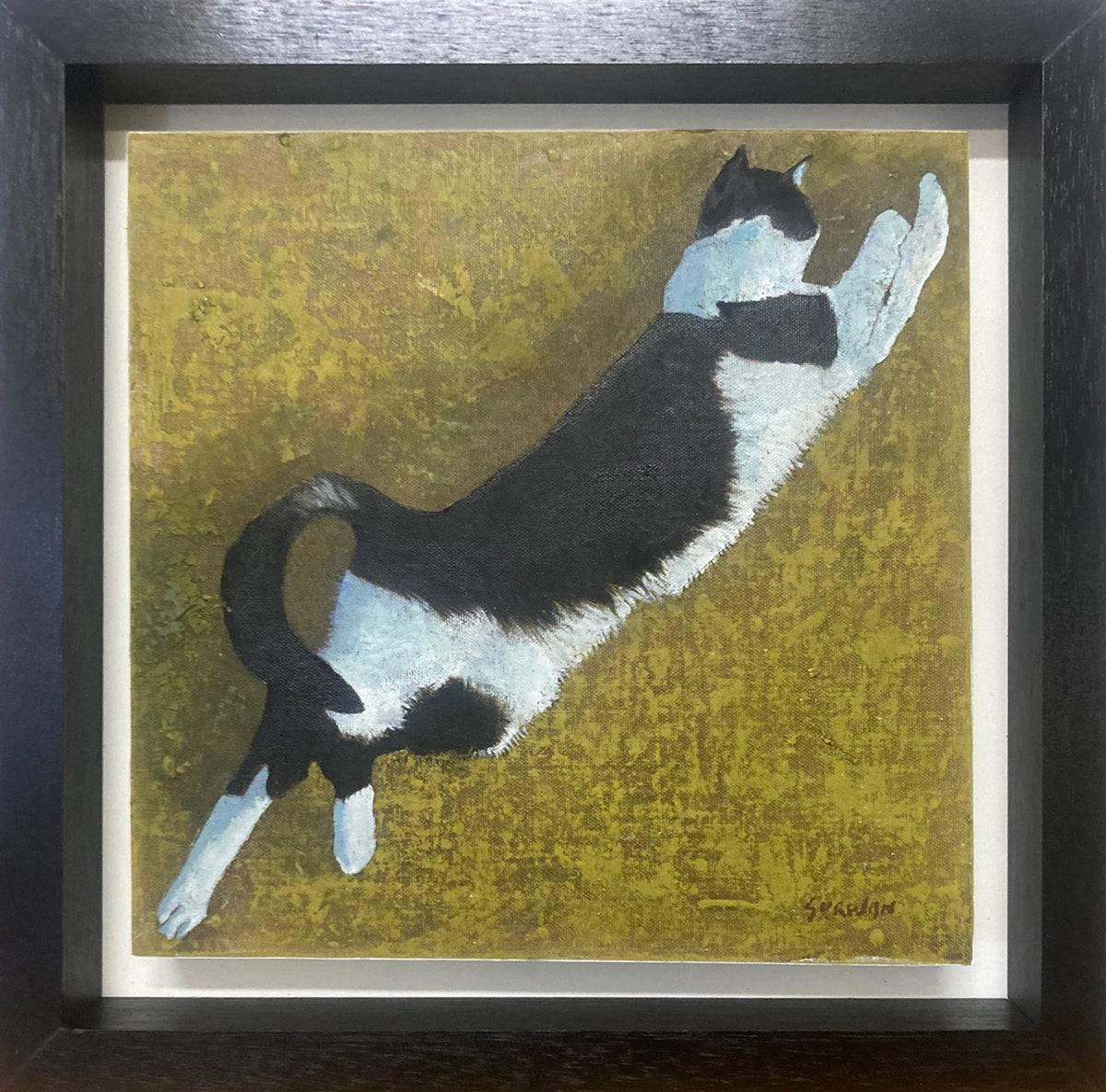 ‘Cat 2’ (2026)