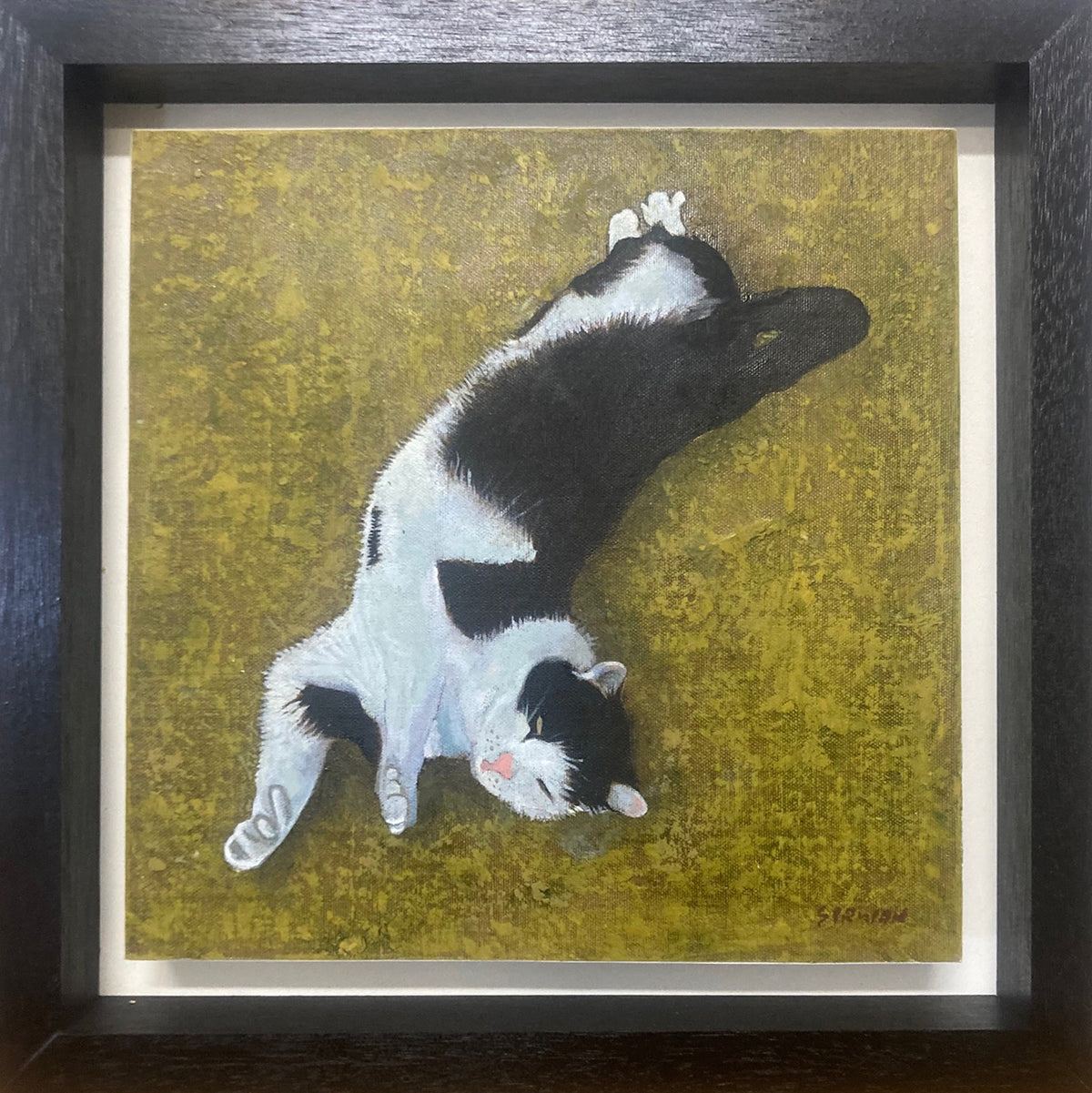 ‘Cat 3’ (2026)