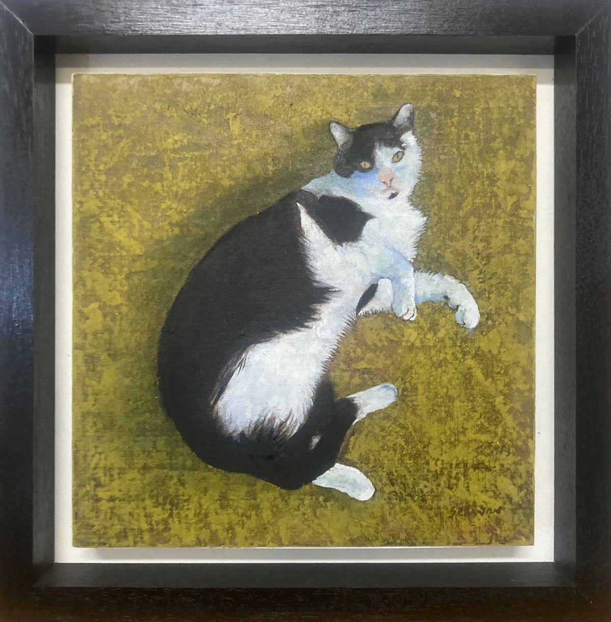 ‘Cat 4’ (2026)