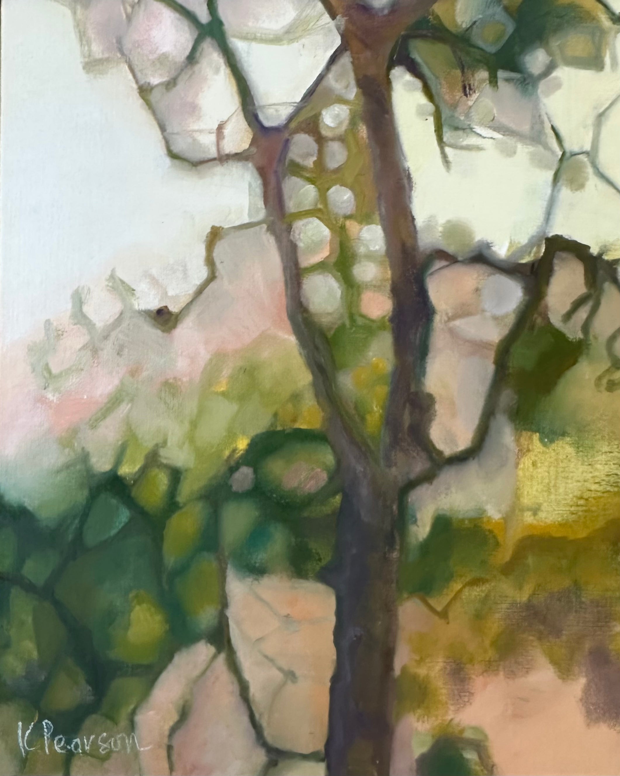 Tree Tops