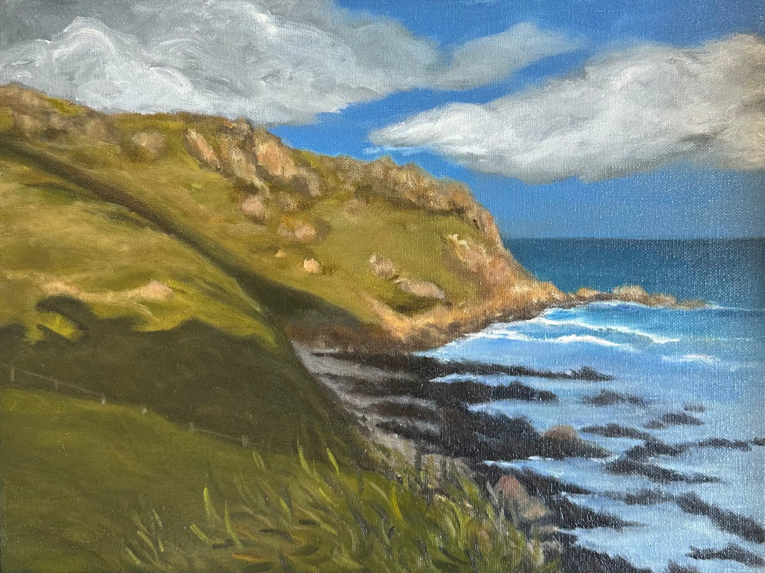 Petrel Cove