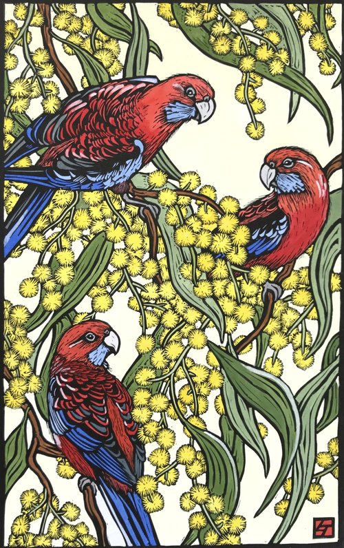 Crimson Rosellas on Wattle