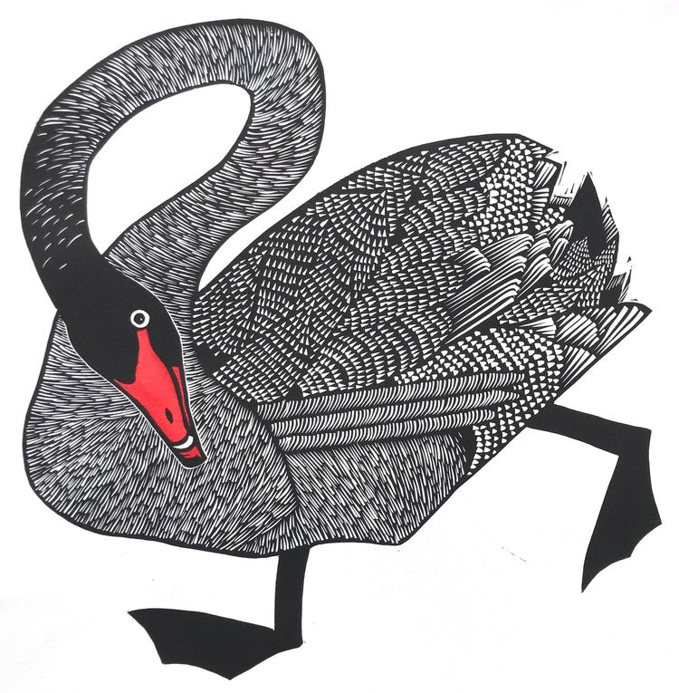 Black swan