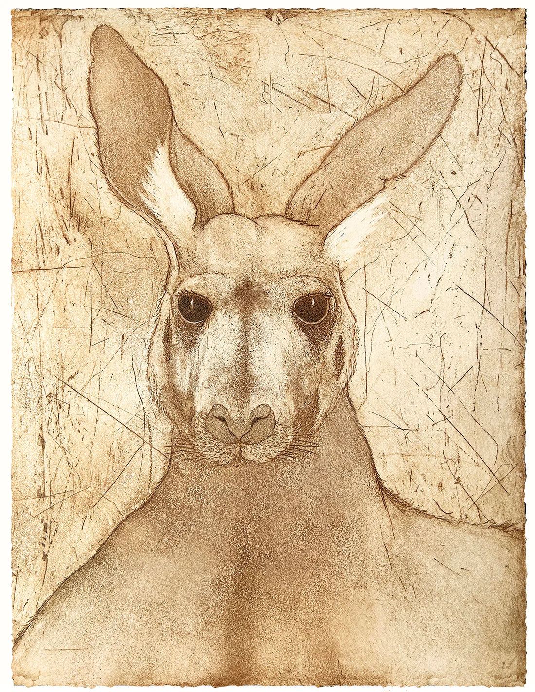 Big Roo