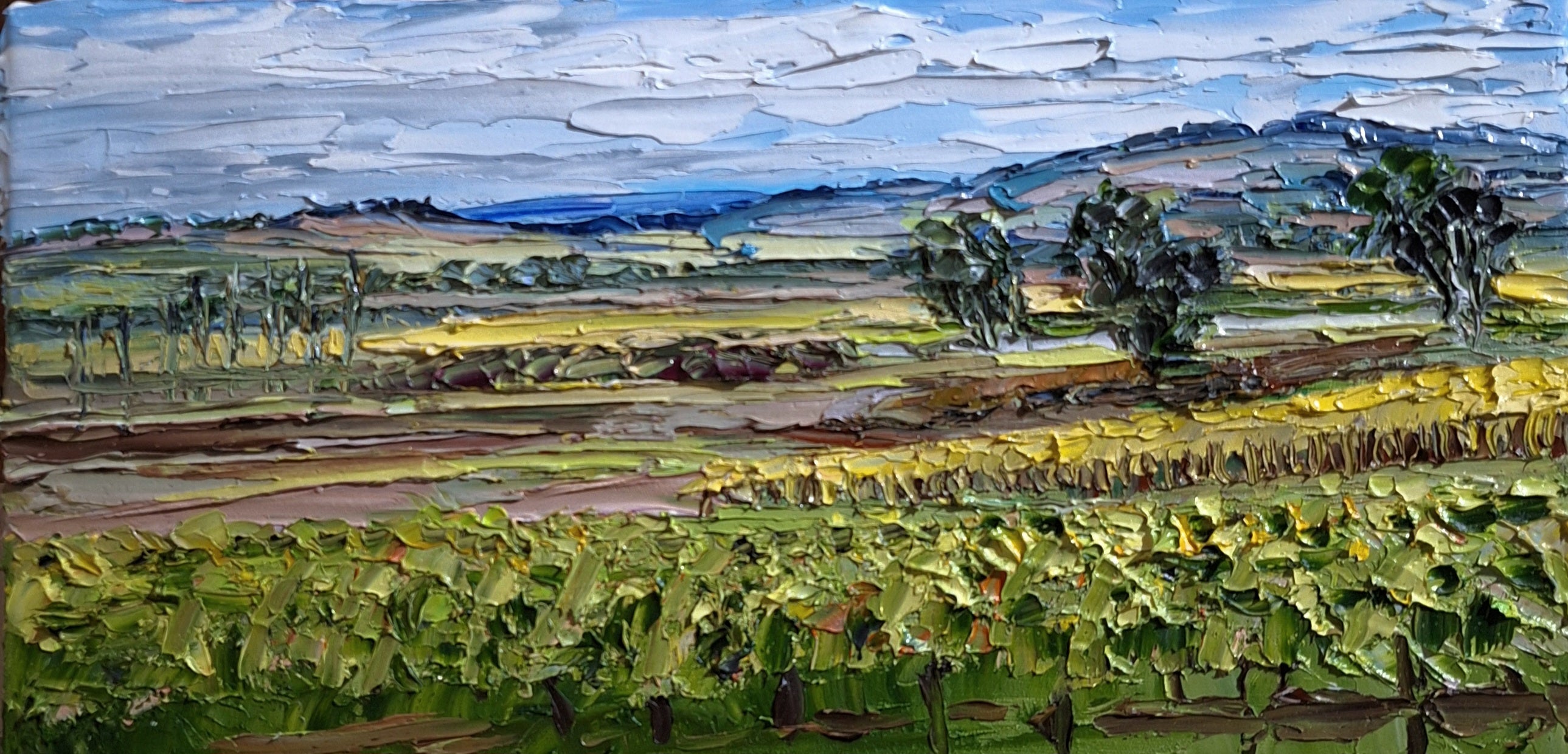 Lily Farm Rd