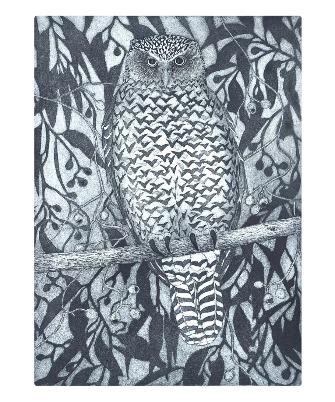 Powerful Owl