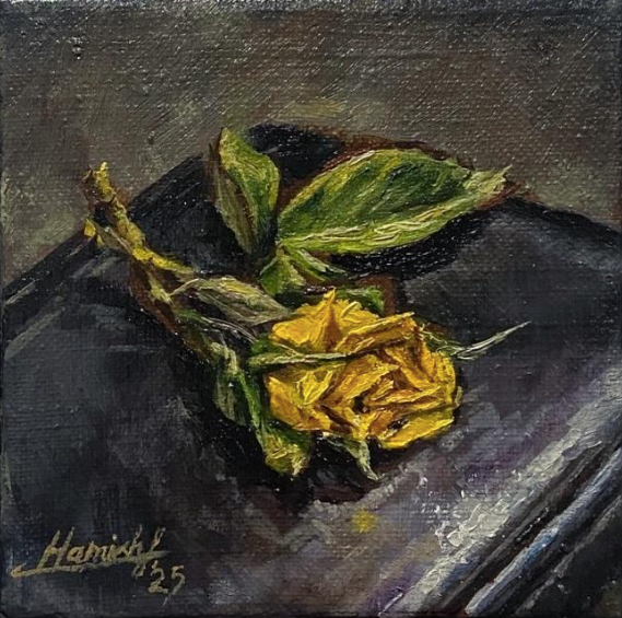 Yellow Rose, 2025