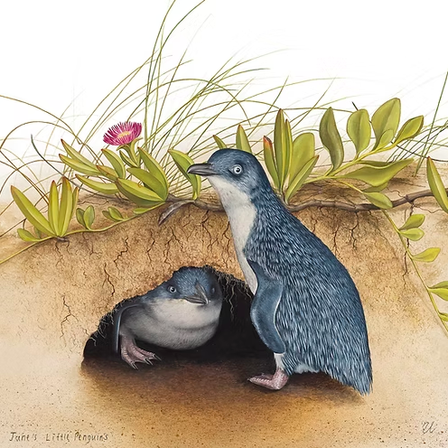 June's Little Penguins