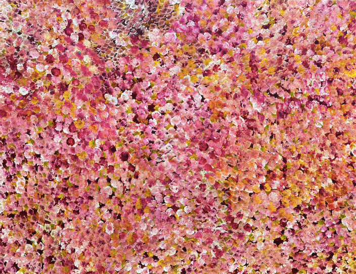 Aboriginal Artwork
