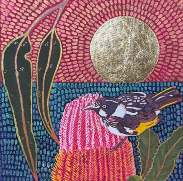 Ms Honey on a banksia under a gold sun